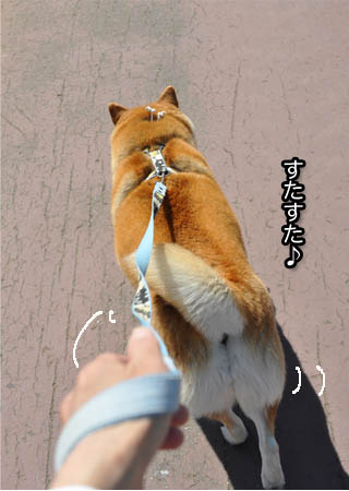 13日ブログ15.jpg