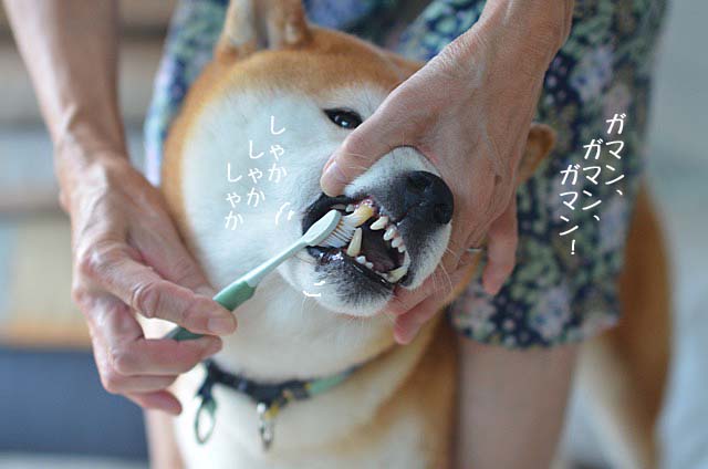 10日ブログ4
