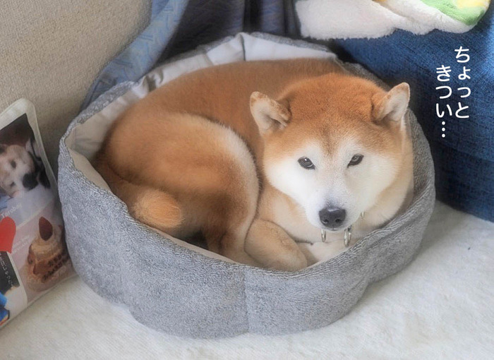 7日ブログ3