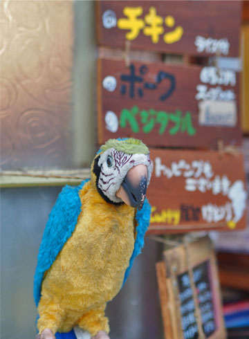 2日ブログ3.jpg