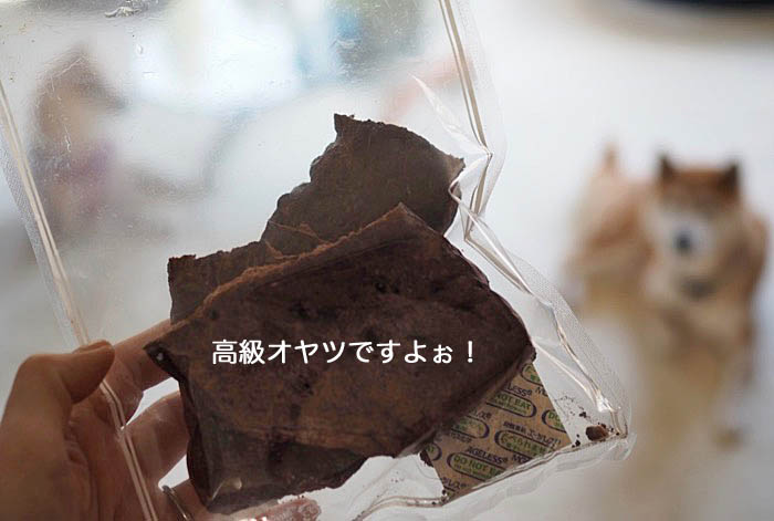 24日ブログ５