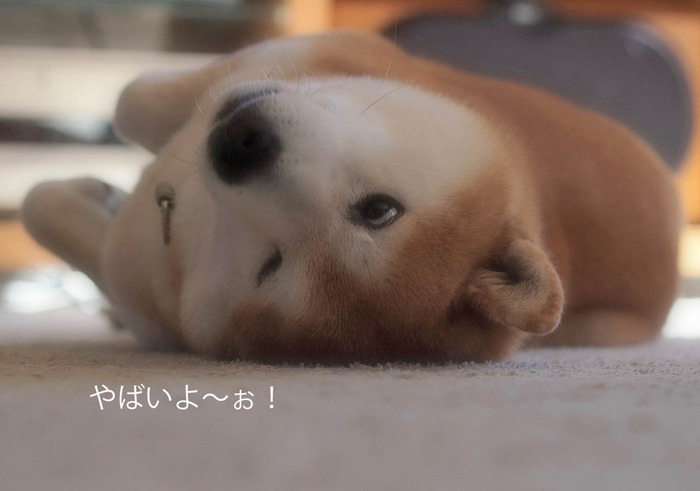 8日ブログ9