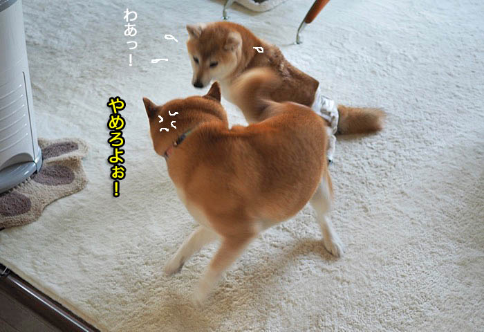 28日ブログ５