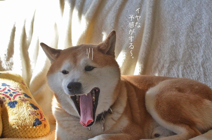 16日ブログ2