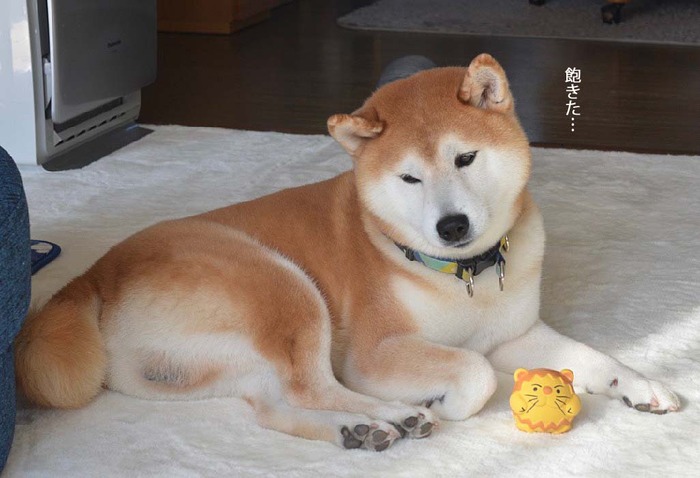 30日ブログ9