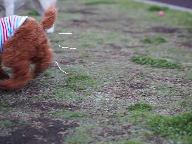 3日ブログ13