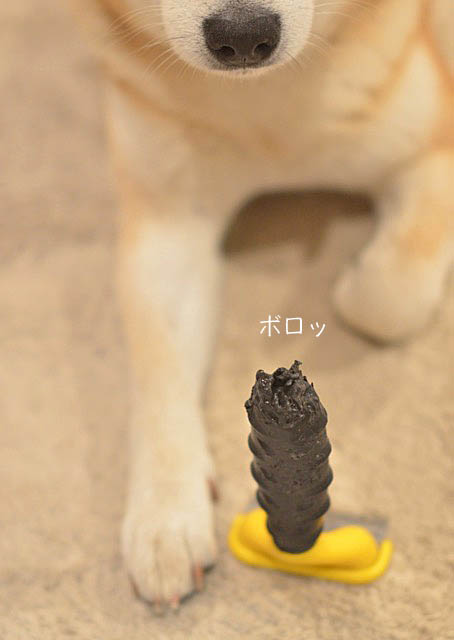 13日のブログ14