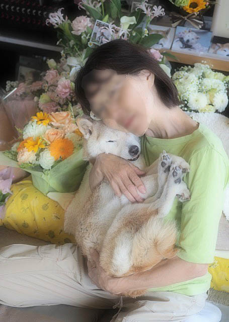 11日ブログ13