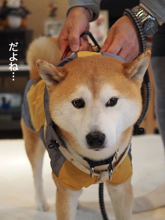 26日ブログ１０