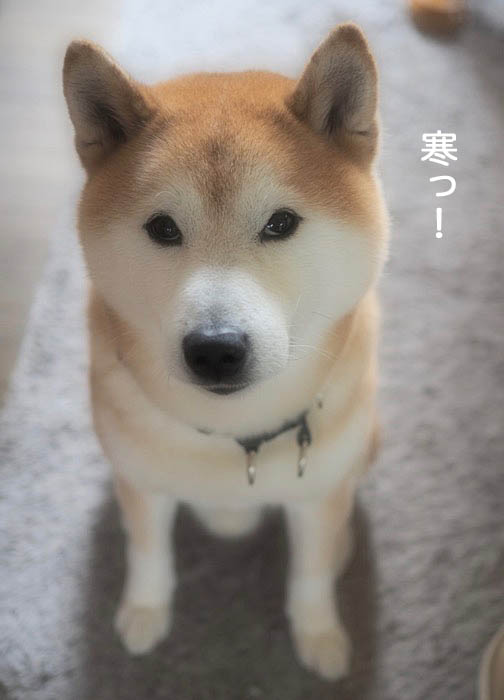 8日ブログ２
