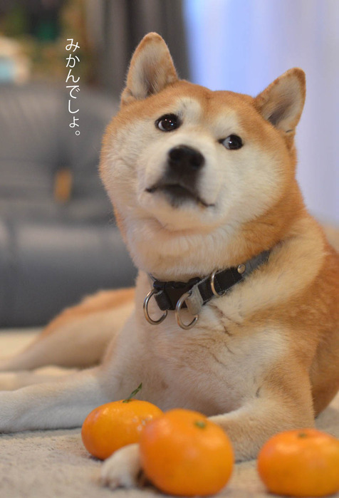 20日ブログ8