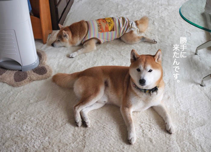 17日ブログ２