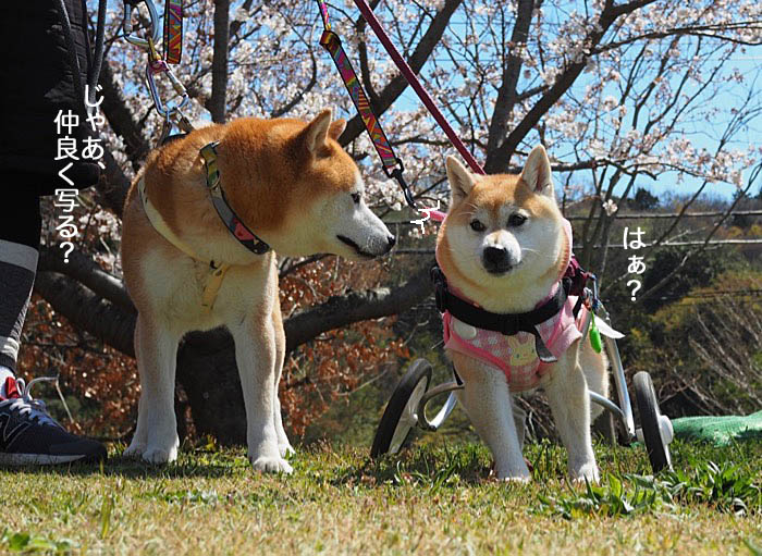 4日午後ブログ６