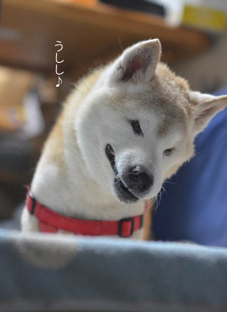 1日ブログ7