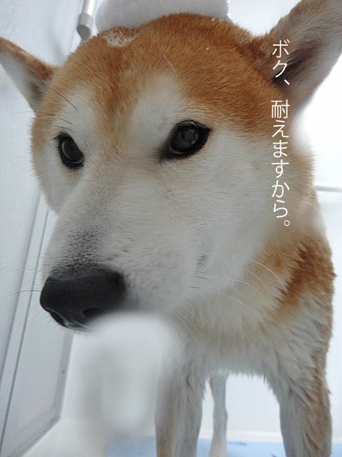 16日ブログ4