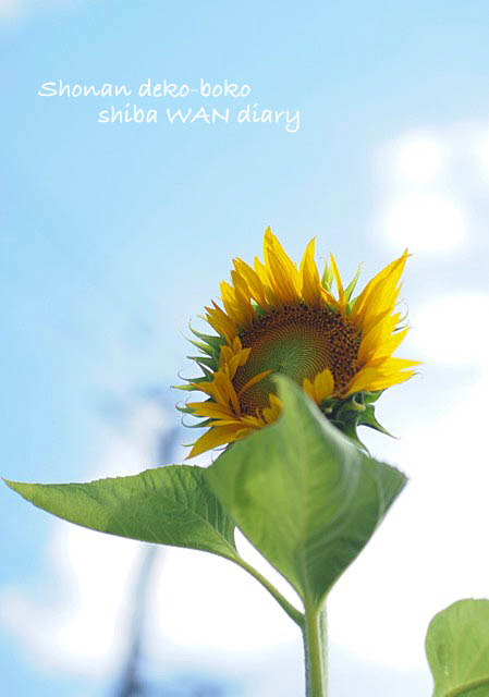 19日ブログ1