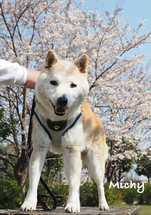 3日ブログ２