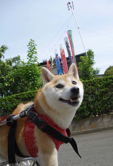 5日午前ブログ３