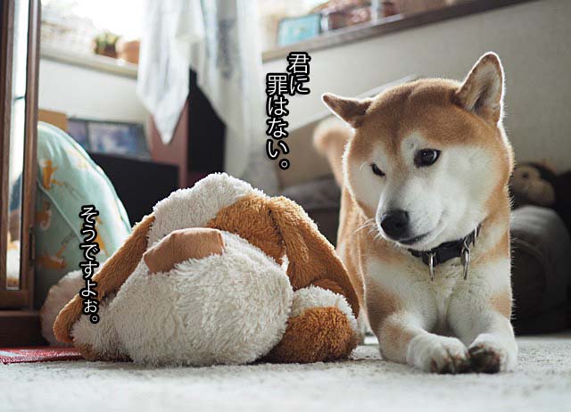 4日ブログ12