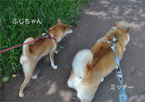 13日ブログ23.jpg