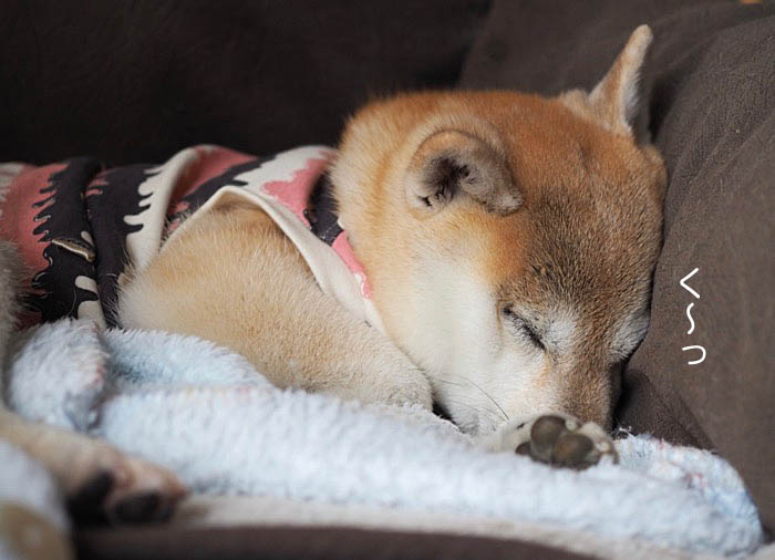 14日ブログ１０