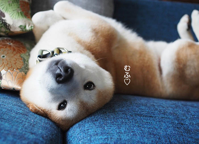 10日ブログ５
