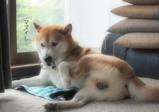 13日ブログ6