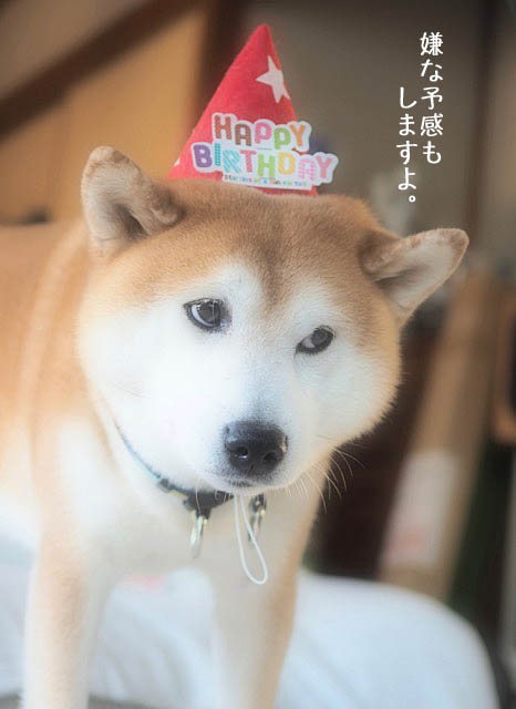 23日ブログ4