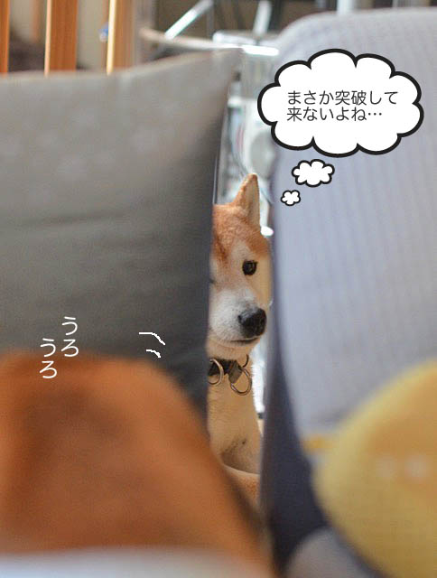 20日ブログ6