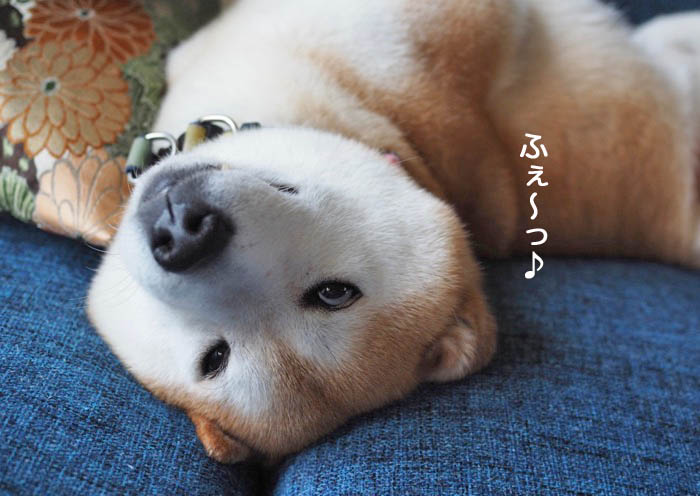 10日ブログ６