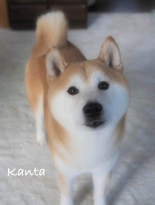 11日夜ブログ２