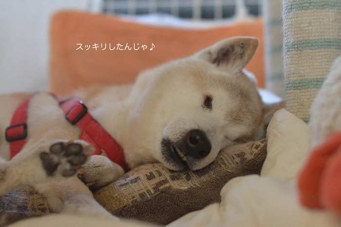 12日ブログ4