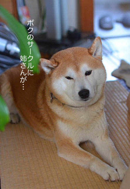 21日ブログ7