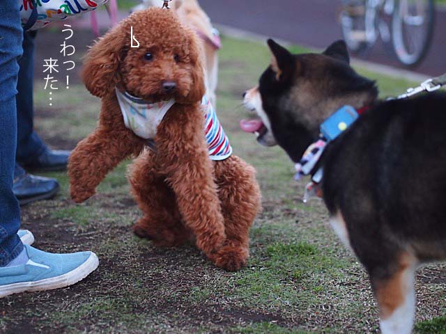 3日ブログ10