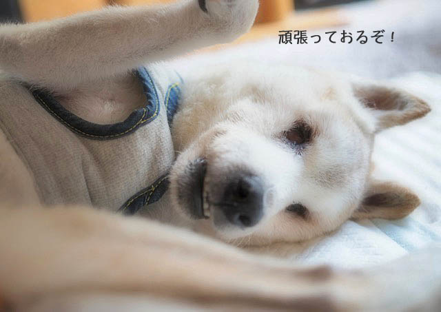 10日ブログ13