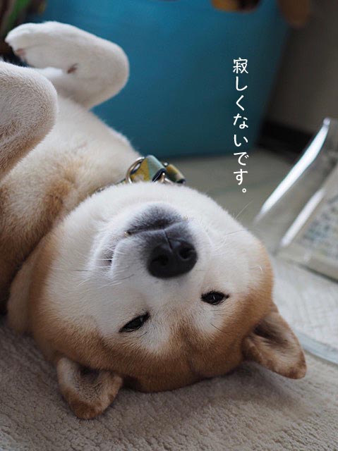 10日ブログ8