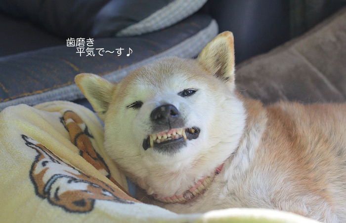 2日ブログ8