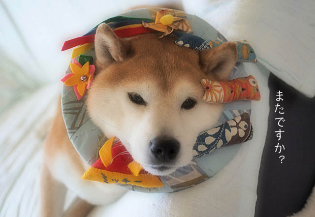 5日ブログ3