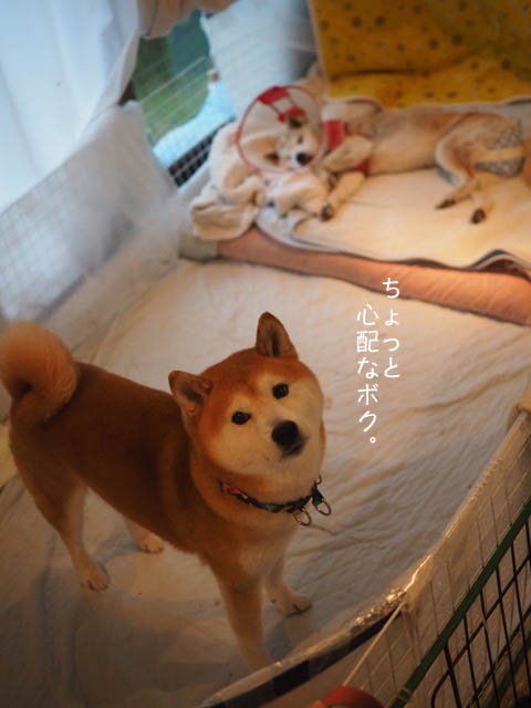7日ブログ6