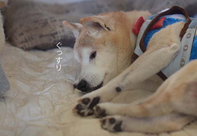 28日ブログ10