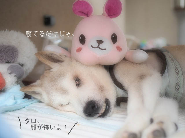 9日ブログ2