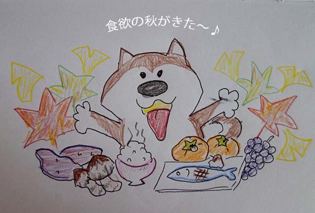 11日ブログ3