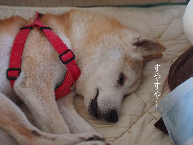 22日ブログ6