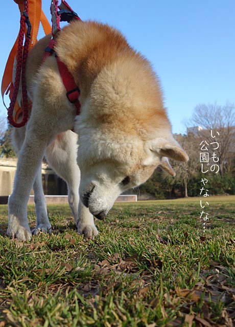18日ブログ4