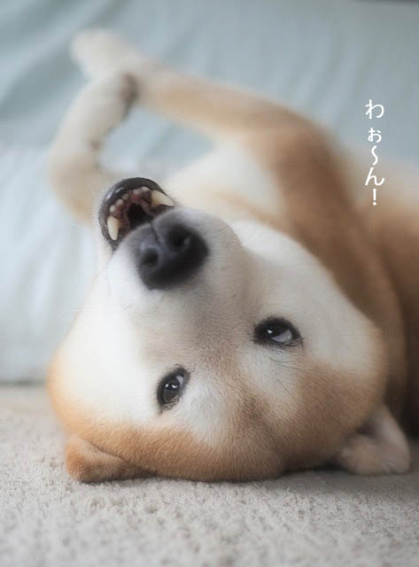 28日ブログ6