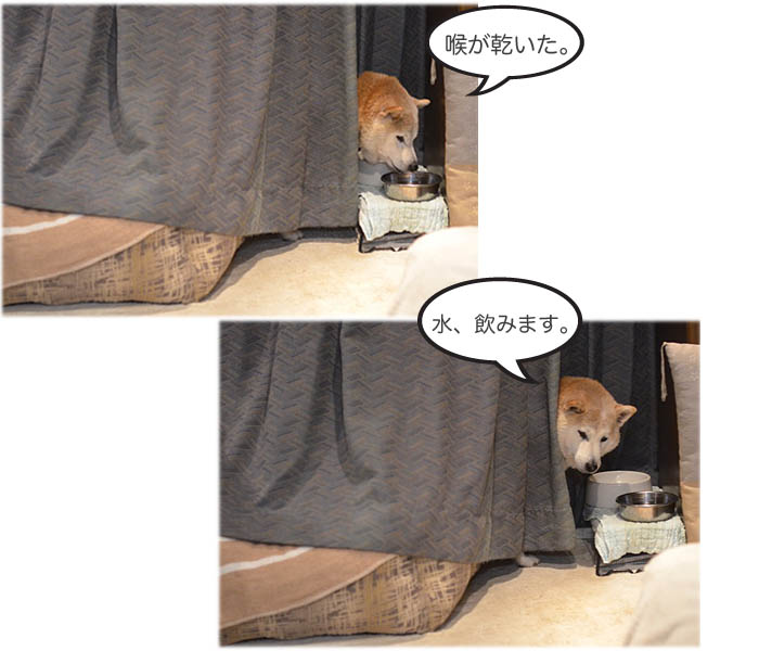 15日ブログ5