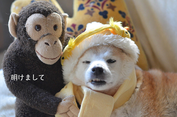 31日ブログ2