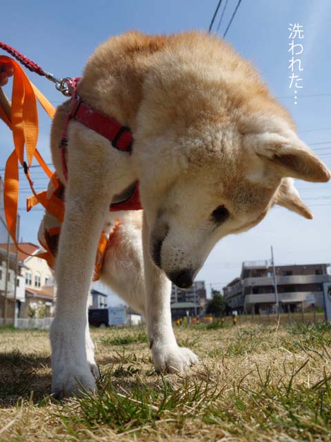 18日ブログ7