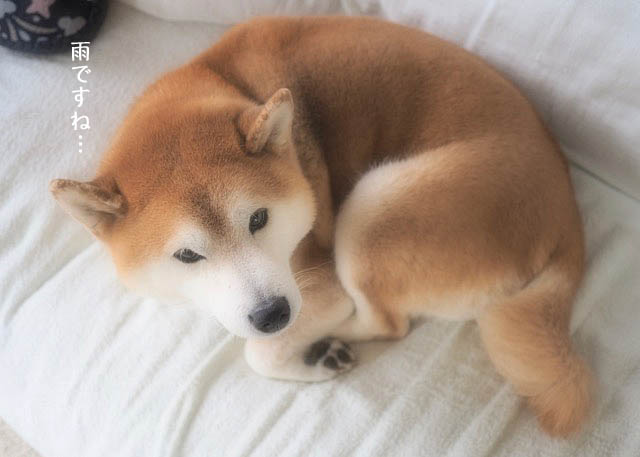 4日夜ブログ2