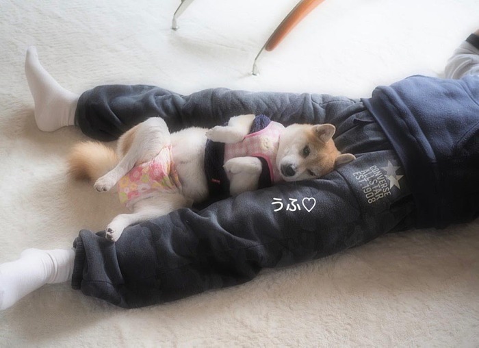 5日夜ブログ3